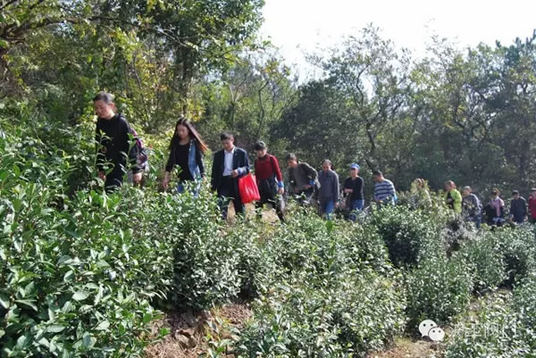 �Ϻ������y�T�S2016���＾ͽ�����л�� �D5