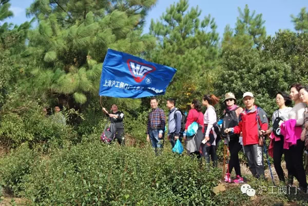 �Ϻ������y�T�S2016���＾ͽ�����л�� �D6