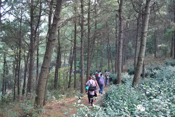 �Ϻ������y�T�S2016���＾ͽ�����л�� �D24