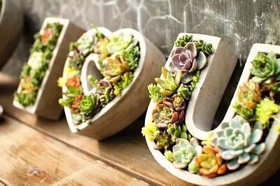 �Aͤ�(zh��n)�F(tu��n)ί(li��n)���Ϻ������y�T�S�_չ΢���^�GֲDIY���(d��ng)���D1��